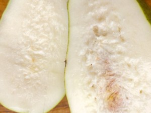 White mango flesh. The Mat Movement luxury yoga retreats, online yoga classes and inspiring plant-based recipes.