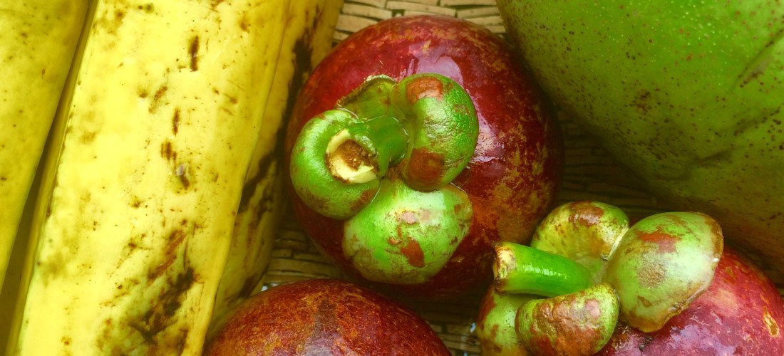 The Mat Movement luxury yoga retreats, online yoga classes and inspiring pant-based recipes. Banana, mangosteen and white mango.