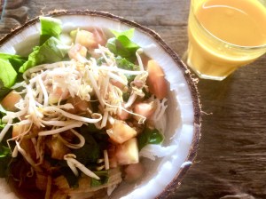 The Mat Movement Bali yoga retreat May 2018; inspiring vegan and vegetarian food from Asia.