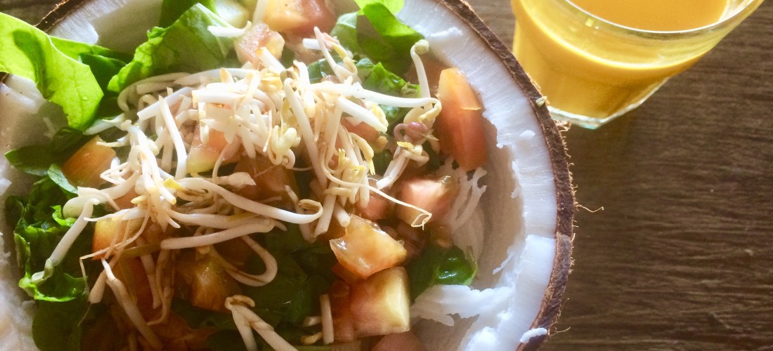The Mat Movement luxury yoga retreats and inspiring vegetarian and vegan food. Coconut salad bowl and turmeric jamu jamu.