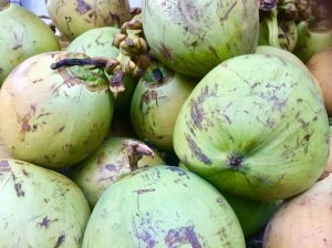 The-Mat-Movement-coconuts-bali