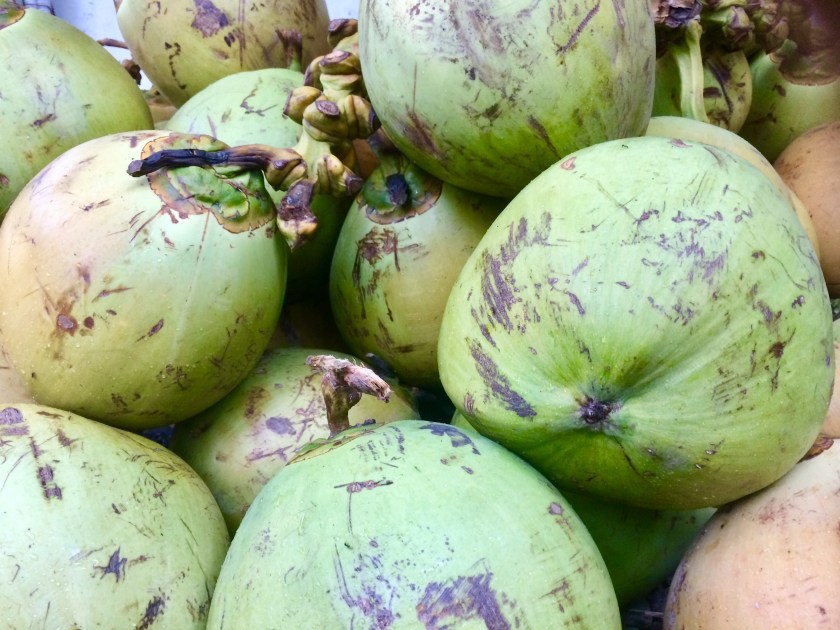 The-Mat-Movement-coconuts-bali