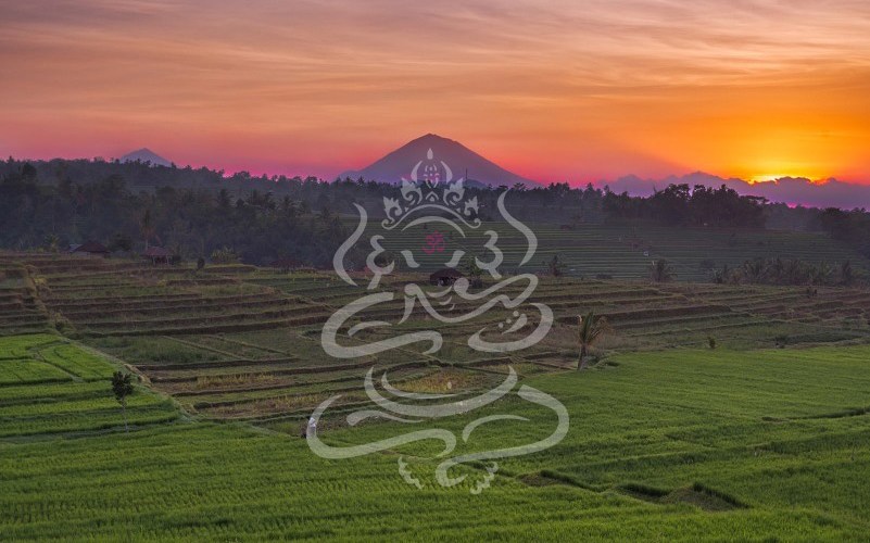 ashtanga-yoga-bali-conference-header-the-mat-movement