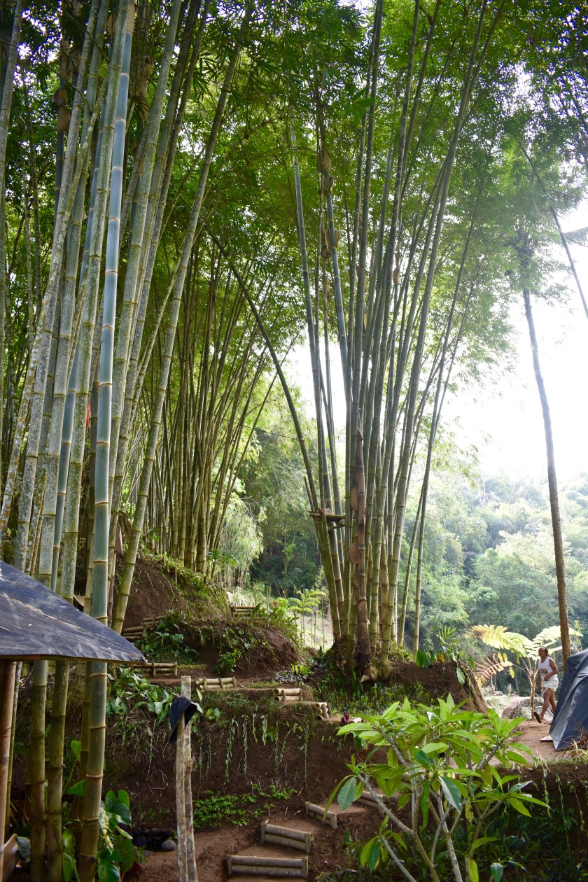 the-mat-movement-visit-bail-village