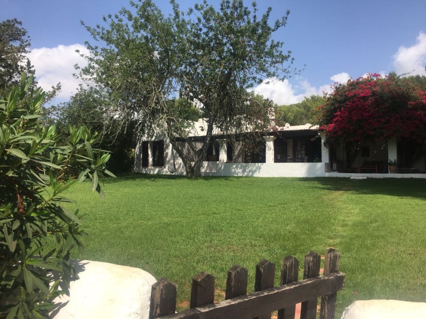 the-mat-movement-yoga-retreat-ibizaHVQK1757