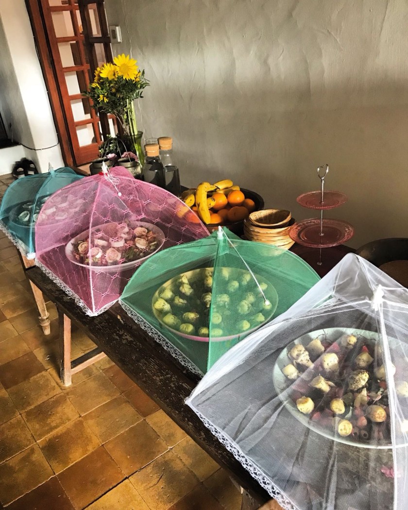 the-mat-movement-yoga-retreat-ibizaVTKQ3029